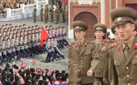 Şimali Koreyalılar Rusiyada ölməmək üçün 500 dollara saxta arayışlar alır  