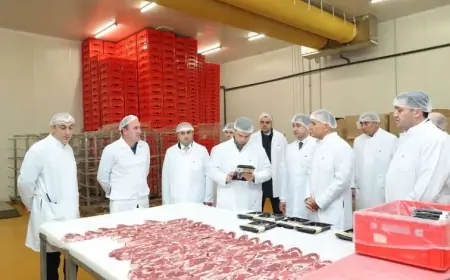 KOBİA nümayəndə heyəti “Veysəloğlu”na məxsus Məhəmmədi Logistika Mərkəzini ziyarət edib - FOTO