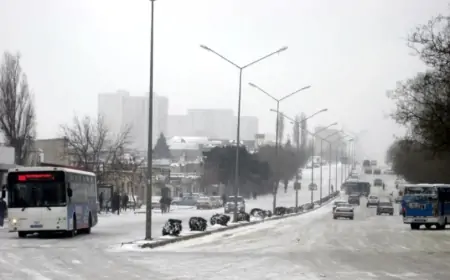 Bakı və Abşeronda avtobuslar bu saata qədər işləyəcək
