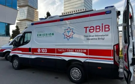 Məşhur müğənninin anası  faciəvi şəkildə ÖLDÜ