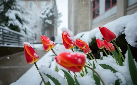 Hava bu tarixdən - İSİNƏCƏK