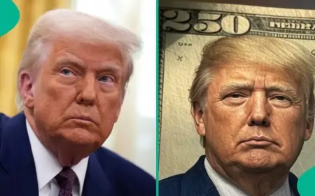 250 dollarlıq əskinasın üzərində Trampın təsviri olacaq?