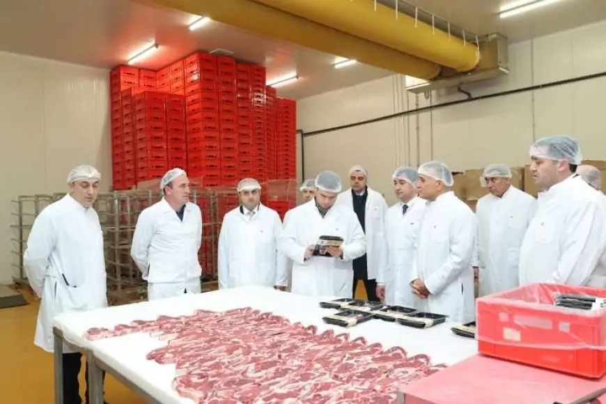 KOBİA nümayəndə heyəti “Veysəloğlu”na məxsus Məhəmmədi Logistika Mərkəzini ziyarət edib - FOTO