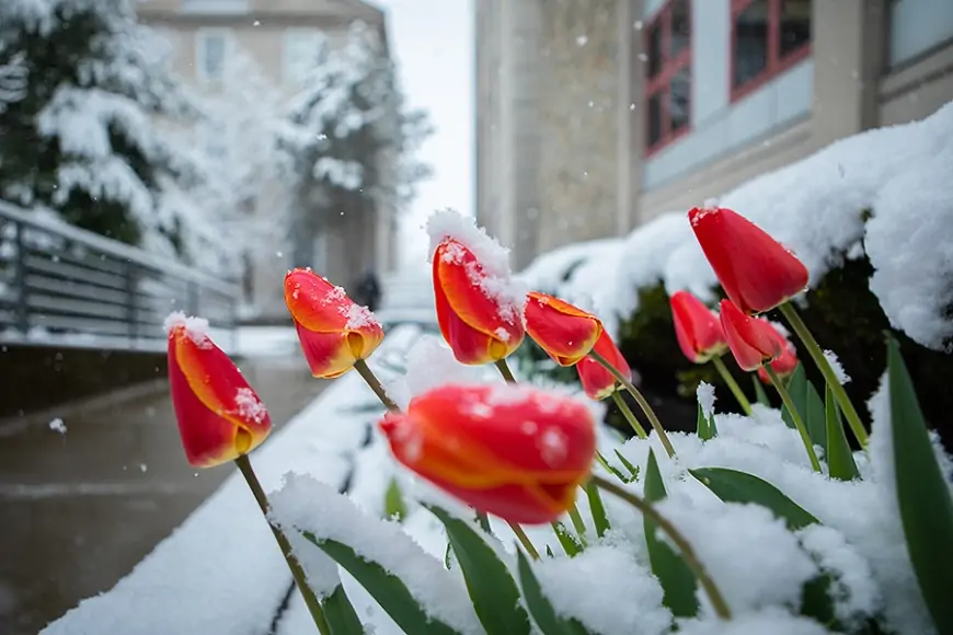 Hava bu tarixdən - İSİNƏCƏK