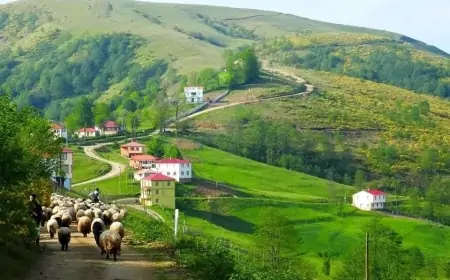 Azərbaycanda bu kəndlər birləşdiriləcək