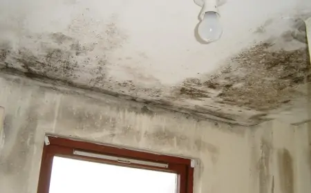 Evdəki nəm və rütubətdən necə xilas olaq? - Sınanmış və sadə üsul