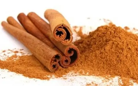 Darçın hansı xəstəliklərə faydalıdır?