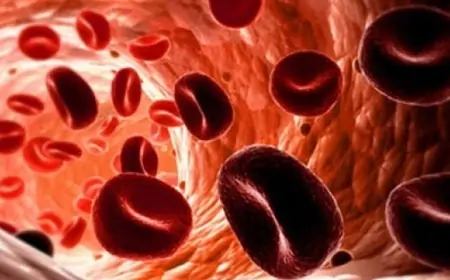 Bədəndə dəmir çatışmazlığı, əlamətləri və müalicəsi