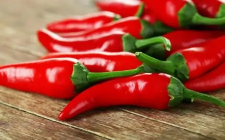 Acı bibər arıqladır?