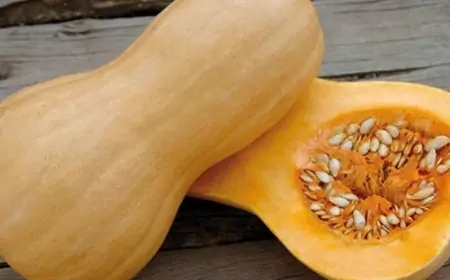 Balqabaq hansı xəstəliklərin dərmanıdır?