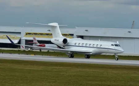 Braziliyanın xüsusi bortu Moskvaya endi