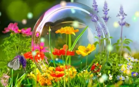 Sabah 27 dərəcə isti olacaq - Proqnoz