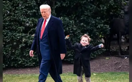 Tramp Maskın oğlunu gəzdirir - Hamı bu VİDEOdan danışır