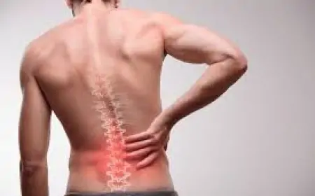 Radikulit və əzələ ağrılarını azaldan təbii vasitə 