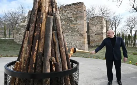 "Cənab Prezident, əmin edim ki, bizim kənddə müxalifətçi olmayıb"