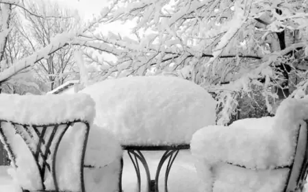 Bu rayonlara qar yağır