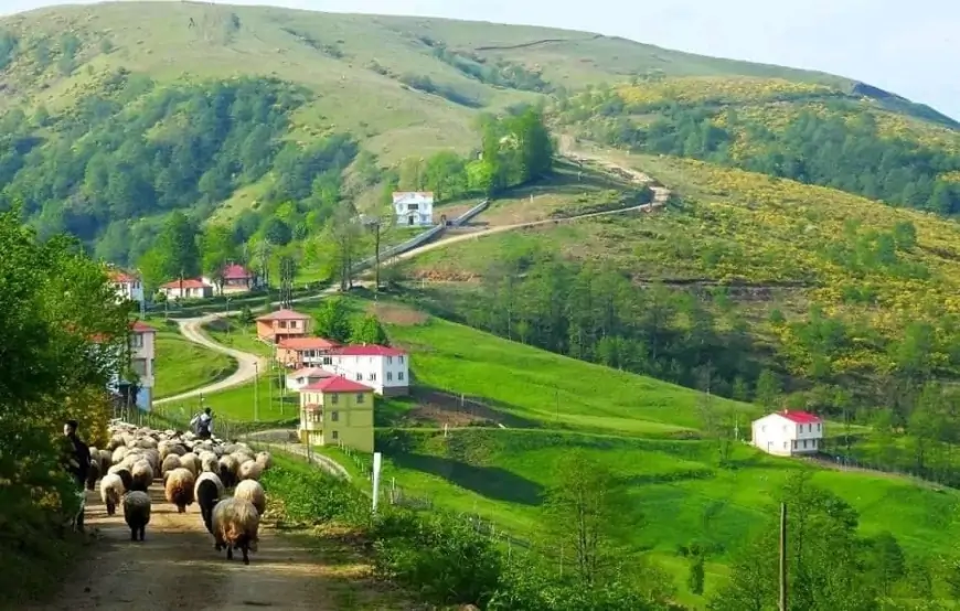 Azərbaycanda bu kəndlər birləşdiriləcək - SƏBƏB + VİDEO