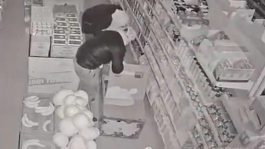 Bakı marketlərinin qəniminə çevrilən maskalılar yaxalandı - 50 min oğurlayıblar + ANBAAN VİDEO