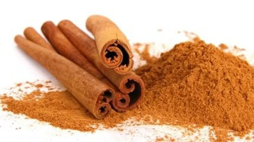 Darçın hansı xəstəliklərə faydalıdır? 