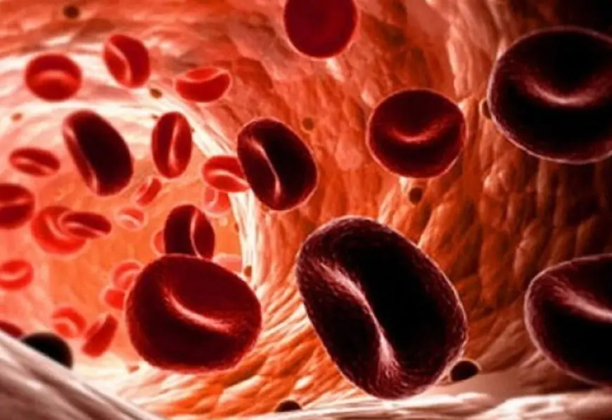 Bədəndə dəmir çatışmazlığı, əlamətləri və müalicəsi 