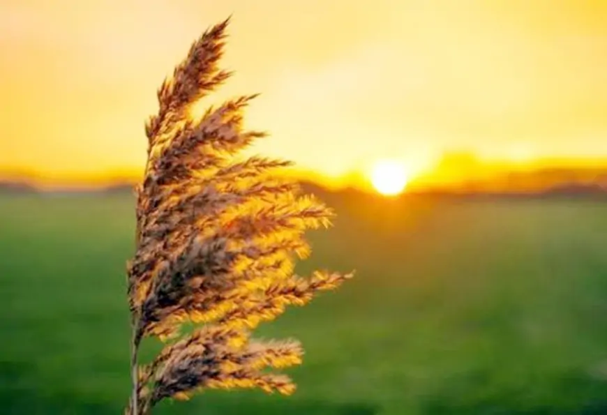 Sabah hava necə olacaq? 