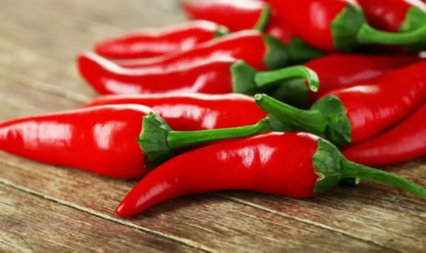 Acı bibər arıqladır? 