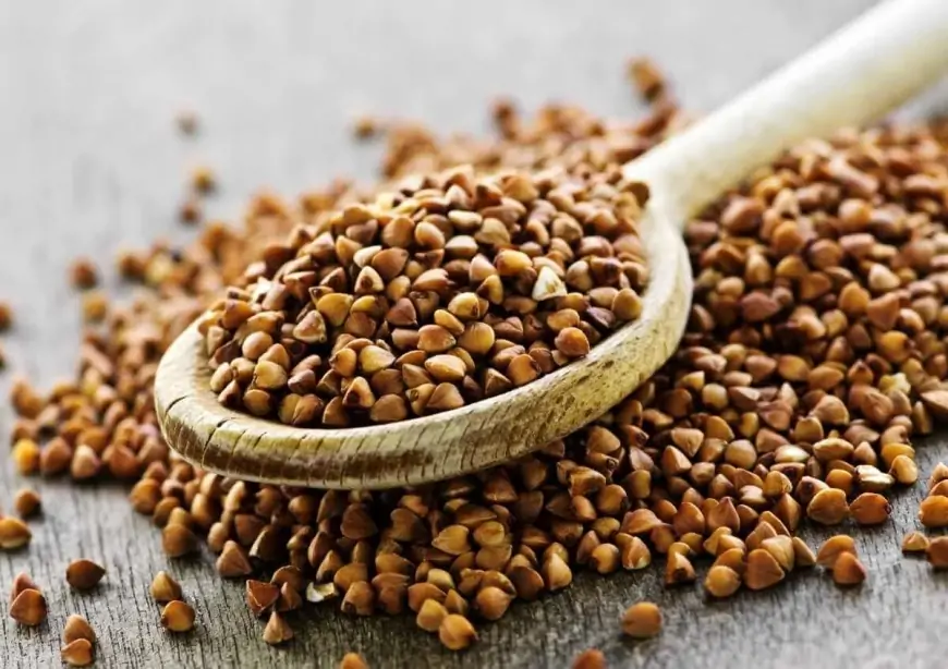 Qarabaşağın faydaları və zərərləri  