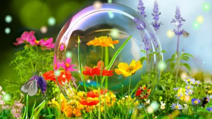 Sabah 27 dərəcə isti olacaq - Proqnoz