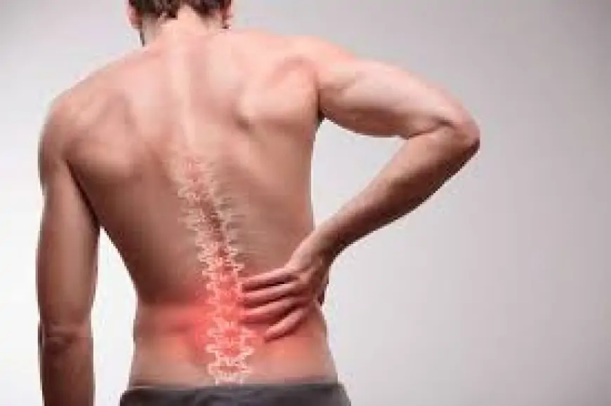 Radikulit və əzələ ağrılarını azaldan təbii vasitə 