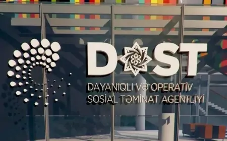 Bu xanım DOST-un yeni rəhbəri oldu