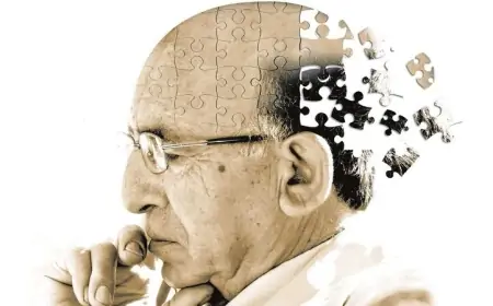 Altsheymer xəstəliyi anidən gəlmir