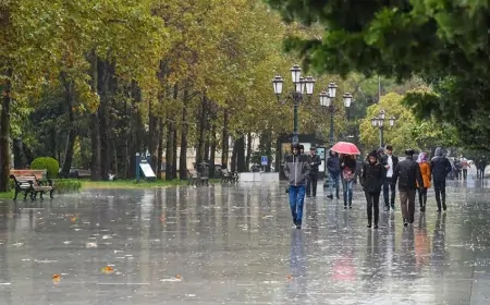 Sabah hava necə olacaq? 