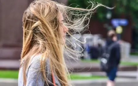 Bu tarixdə güclü külək əsəcək - SARI XƏBƏRDARLIQ