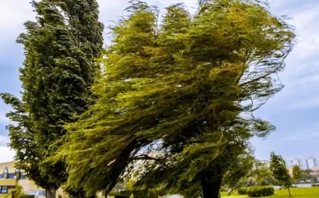 Sabah hava necə olacaq? 