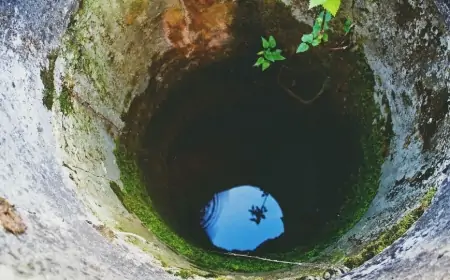 75 yaşlı qadını öldürüb quyuya atan Aypara tək olmayıb