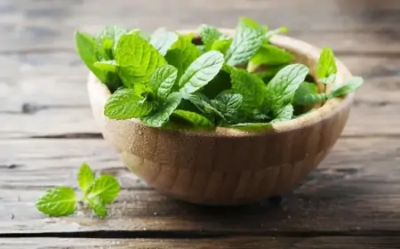 Yuxusuzluğun çarəsi, başağrısının dərmanı - Nanə 