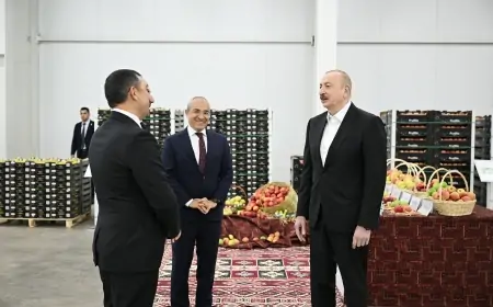 Prezident Qusar rayonunda kompleksin fəaliyyəti ilə tanış oldu