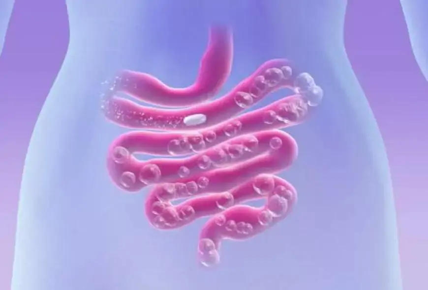 Qarında köp var? - Bu qidaları yaxına buraxmayın