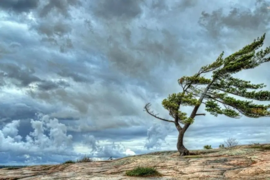 Güclü küləklə bağlı narıncı XƏBƏRDARLIQ 