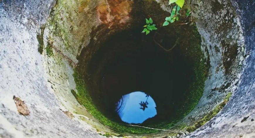 İtlər qoynundakı 8 minə görə öldürülüb quyuya atılan Zeynəbi necə tapdı? - ŞOK CİNAYƏT