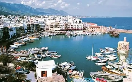 İstanbuldakı danışıqlar günorta başlayacaq 