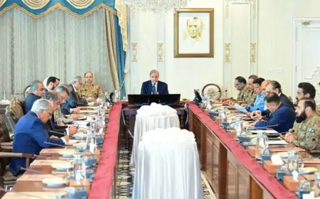 Pakistan ordusuna hərəkət azadlığı verildi – Samaa tv