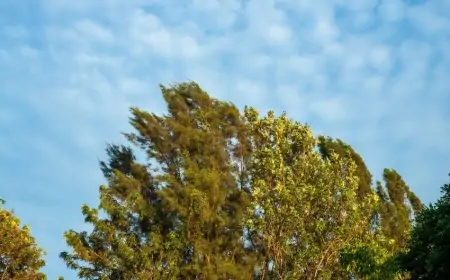 Bu tarixlərdə güclü külək əsəcək – Xəbərdarlıq!