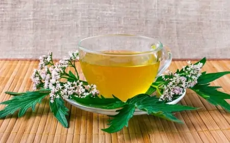 Panik atakı yüngülləşdirən təbii çaylar