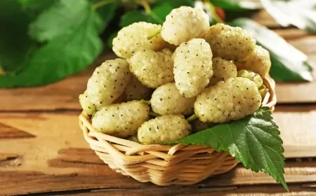 Xərçəngə və qan azlığına qarşı mübarizə aparır, qurdu tökür – Ağ tut