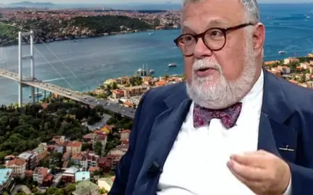 Celal Şengör 2 il qədər həbs olunur