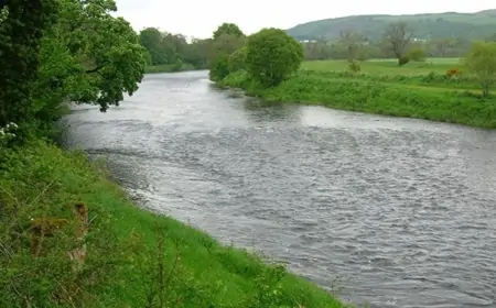 Kürdə batırılan Nuranə nəyin qurbanı olub? - Atası qayınatasına borclu imiş