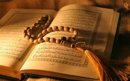 İslamda hansı heyvanların əti haramdır? 