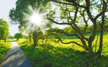 Sabah 38 dərəcə isti olacaq 