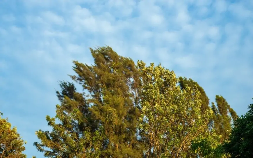 Bu tarixlərdə güclü külək əsəcək – Xəbərdarlıq!